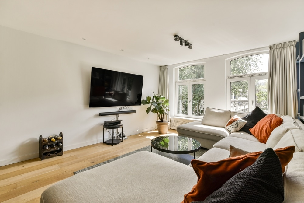 Salon moderne et élégant présentant une grande télévision et une décoration raffinée